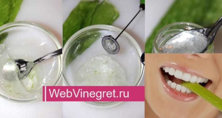 Полезные свойства алоэ и его использование для лечения. Рецепты