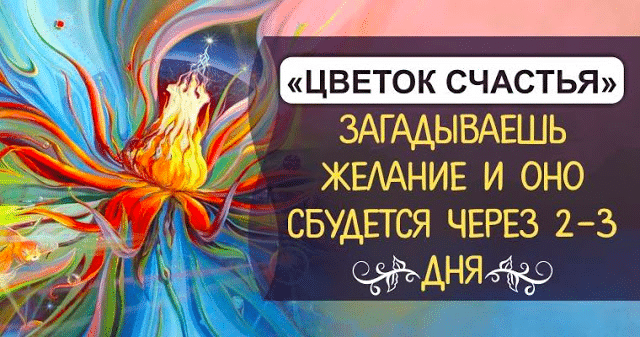 «Цветок счастья» загадываешь желание, и оно сбудется через 2-3 дня