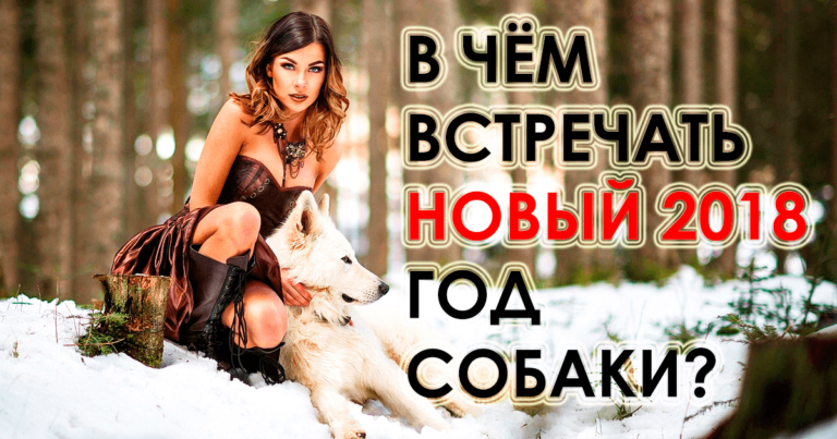 Козерог — в зелёном, стрелец — в фиолетовом: в чём встречать 2018 по знаку зодиака?