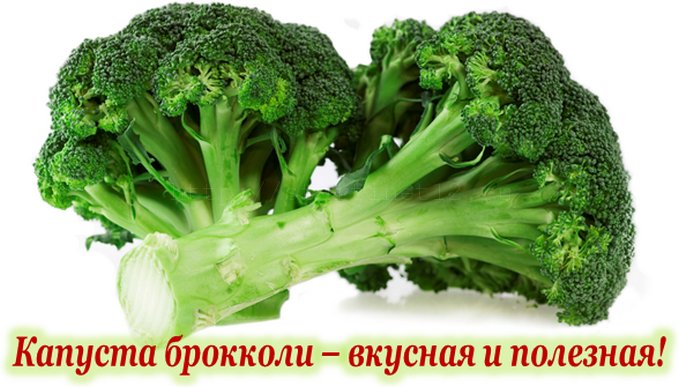 6 самых вкусных блюд из брокколи