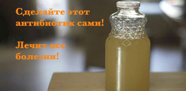 Вот самый мощный природный антибиотик в мире! Убьет любую инфекцию!