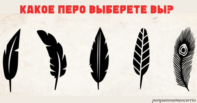 Выберите перо, которое вам нравится, — и мы узнаем, в чем ваша уникальность!