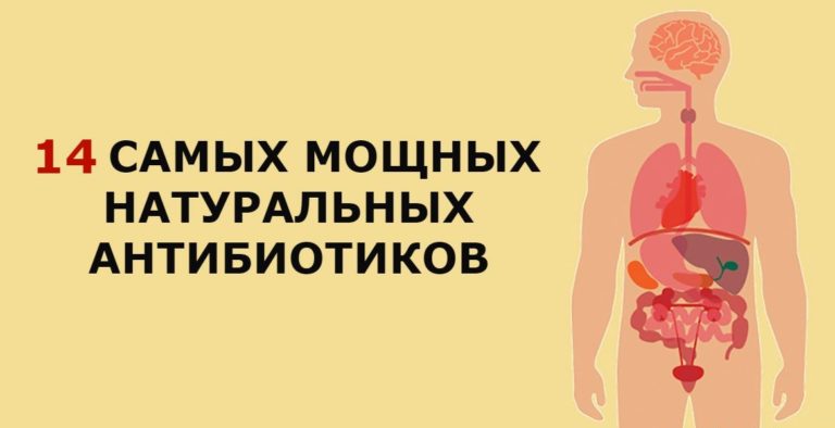 14 антибиотиков, которые есть в природе и которые защитят от 90% болезней