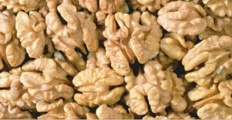 10 самых здоровых продуктов на планете