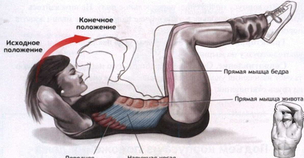 Повороты туловища для пресса