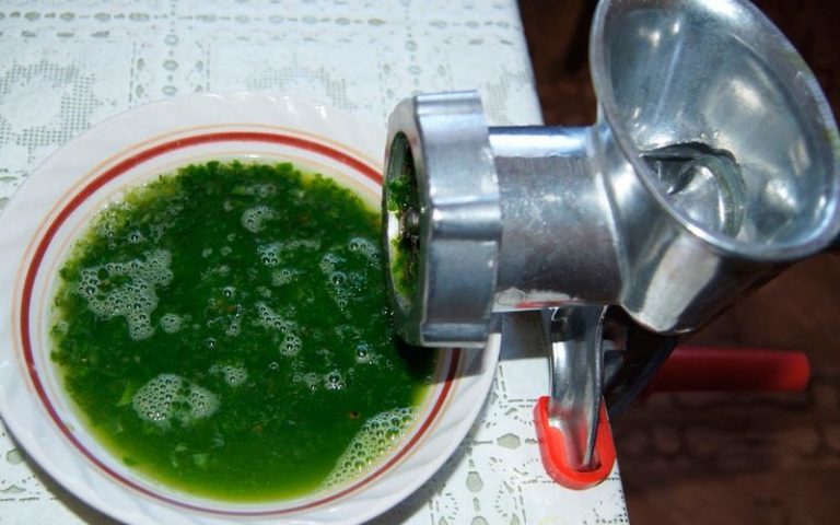 Алое, мед, кагор — эта смесь поднимет даже мертвого!