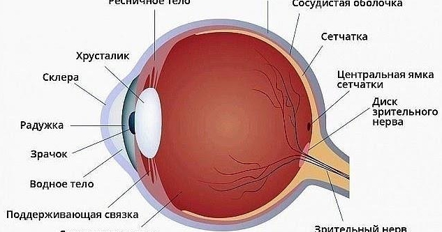 БАБУШКИН РЕЦЕПТ!!! ЗРЕНИЕ ВОЗВРАЩАЕТСЯ БЕЗ ОПЕРАЦИИ!!!