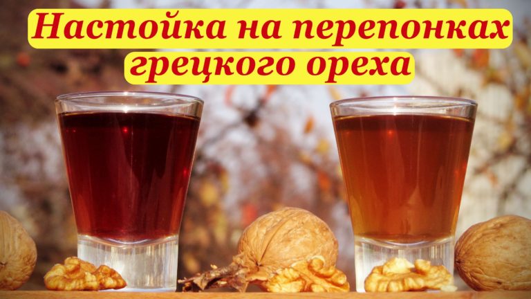 Она залила кипятком перегородки ореха и принимала этот настой каждый день! Результат удивил даже врачей!