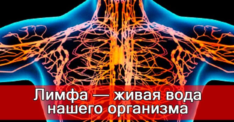 Активизировать лимфатическую систему и предотвратить развитие раковых клеток можно применяя 9 простых способов!