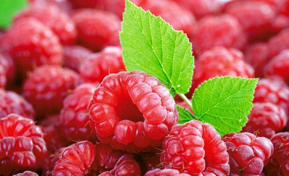 ÐÐ¾Ð²âÑÐ·Ð°Ð½Ðµ Ð·Ð¾Ð±ÑÐ°Ð¶ÐµÐ½Ð½Ñ