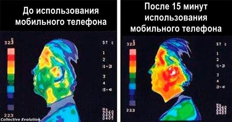 В Европе запрещают Wi-Fi в школах и детсадах. И на то есть очень тревожная причина…