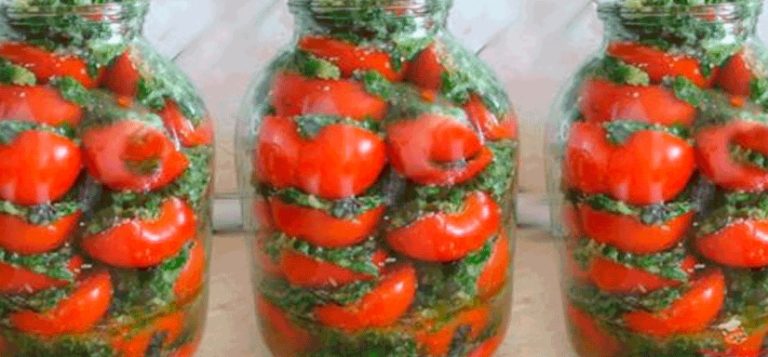 Вкуснейшие помидоры по-корейски быстрого приготовления