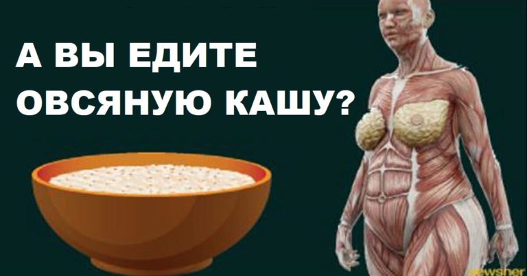 Исследования показали, что произойдёт с организмом, если каждый день на завтрак съедать овсяную кашу