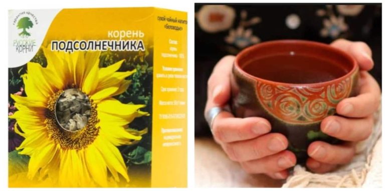Этот корень выводит соли, лечит ревматизм и остеохондроз, а также выводит камни из почек!