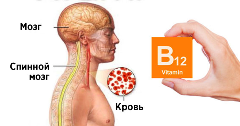 У вас появились проблемы со зрением и памятью? В этом виноват дефицит витамина B12!