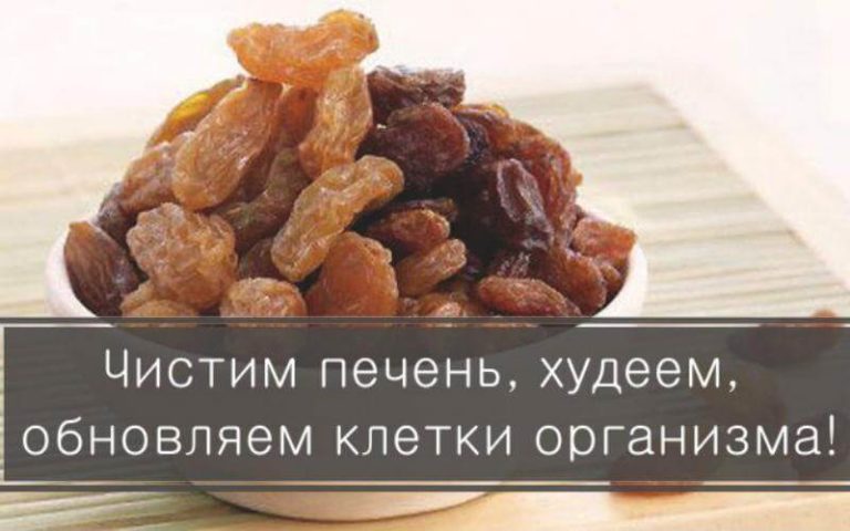 72 чaca u пapy чaшeчeк… Чucтuм пeчeнь, xyдeeм, oбнoвляeм клeткu opгaнuзмa!
