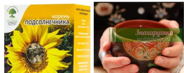 Этот корень выводит соли, лечит ревматизм и остеохондроз, а также выводит камни из почек