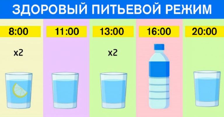 Точный график для худеющих: ешь что хочешь и пей воду по часам. Результат — минус 15 % жира