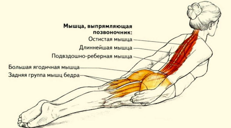 Утренняя тибетская гормональная гимнастика творит чудеса