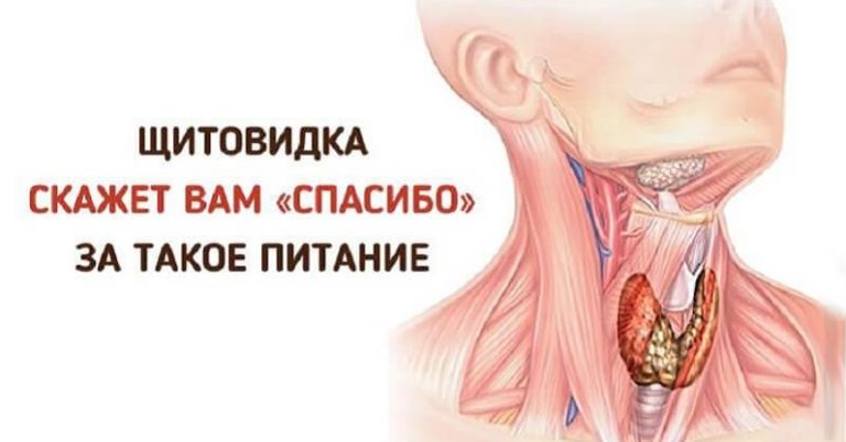 Ваша щитовидная железа скажет вам Спасибо за эти продукты