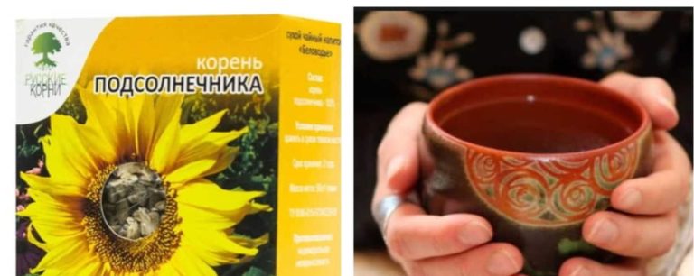 Этот корень выводит соли, лечит ревматизм и остеохондроз, а также выводит камни из почек
