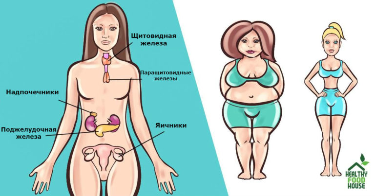 Есть 6 гормонов, которые мешают вам похудеть. Вот что делать с каждым из них