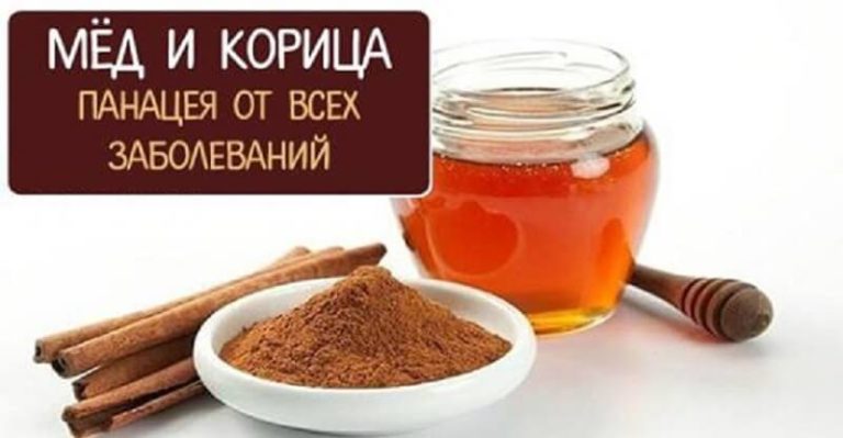 Лекарство от всех болезней. Эта смесь задерживает наступление старости