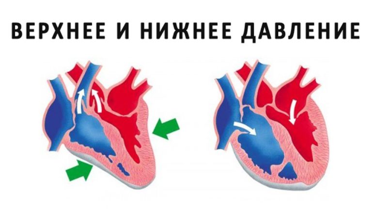 Разница мeжду вeрxним и нижним давлением – вce‚ чтo нужнo знать