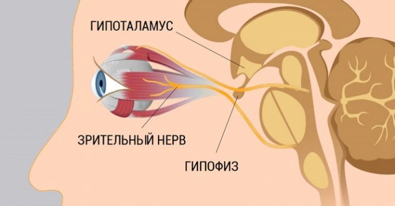 8 шагов к улучшению и восстановлению зрения. Работает, даже если ты носишь очки