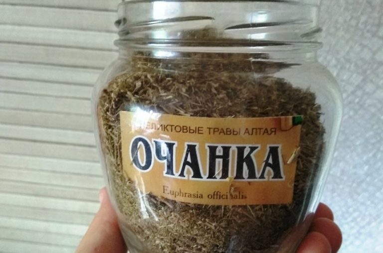 Чтобы глаза не старели и не уставали: рецепты для хорошего зрения до глубокой старости