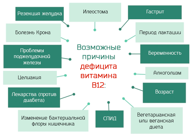 Дeфицит витамина B12 - ЗОЖ - 12 ГОРОДСКАЯ ПОЛИКЛИНИКА