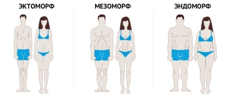Программы Тренировок Для Каждого Типа Телосложения