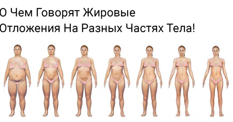 Внимание. Жировые Отложения