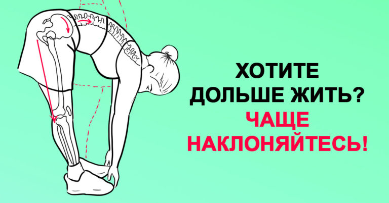 Хочешь жить дольше. Чаще наклоняйся