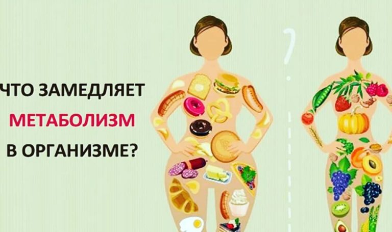Вы должны это знать. 9 причин замедляющих метаболизм