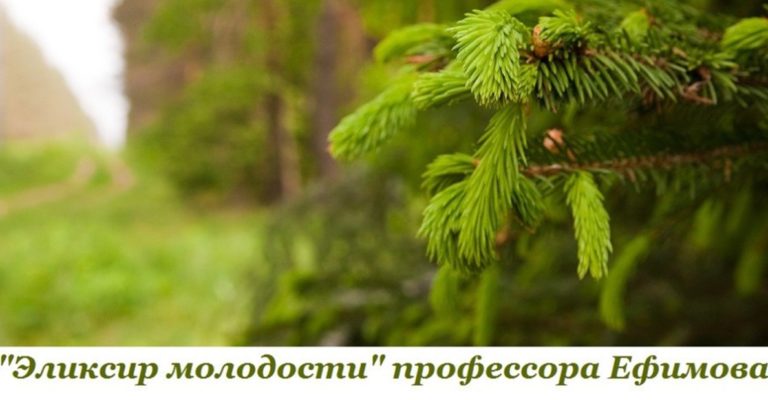 Золотой Рецепт Молодости Профессора Ефимова