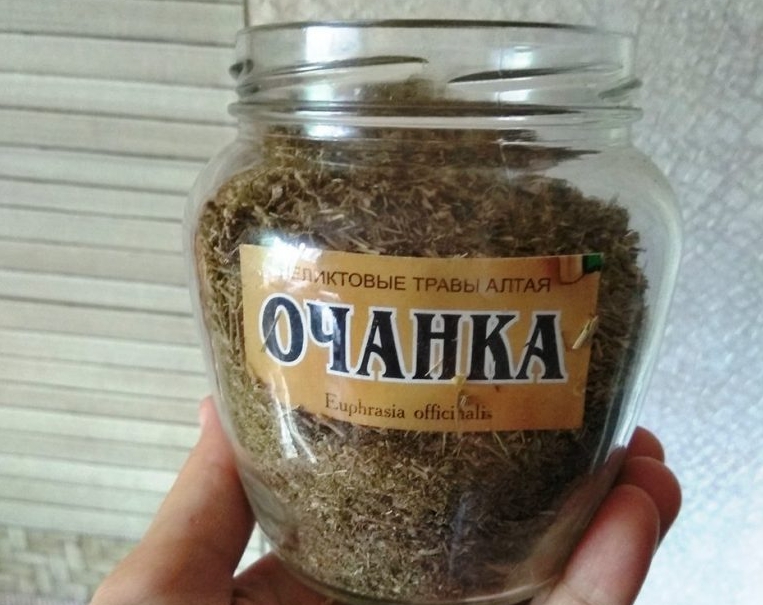 Очанка — вот настоящая спасительница зрения и памяти. Трава, которая заменит окулиста — если не лениться и правильно лечиться