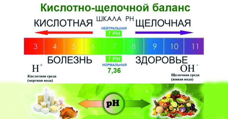 27 лучших щелочных продуктов на планете предотвратят ожирение, болезни сердца, печени, почек и не только…