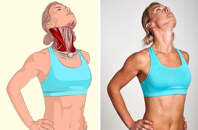 18 Images That Visually Demonstrate the Stretched Muscles