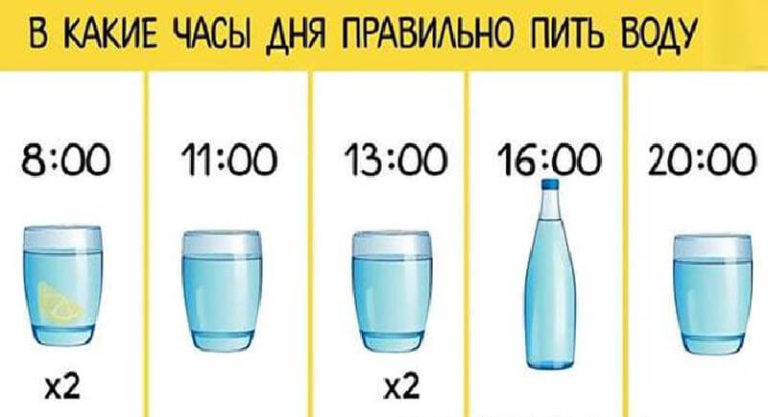 В какие часы дня следует правильно пить воду