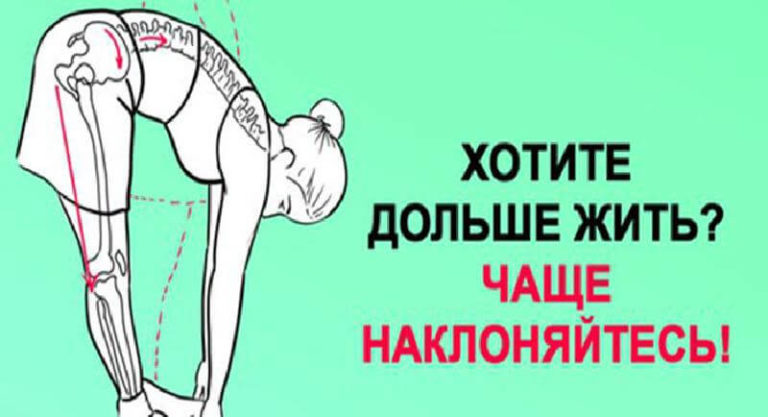 Хочешь жить дольше. Надо чаще наклоняться