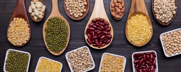 В каких продуктах содержатся фитоэстрогены, влияния на организм. ФИТОЭСТРОГЕНЫ: Правда и вымысел