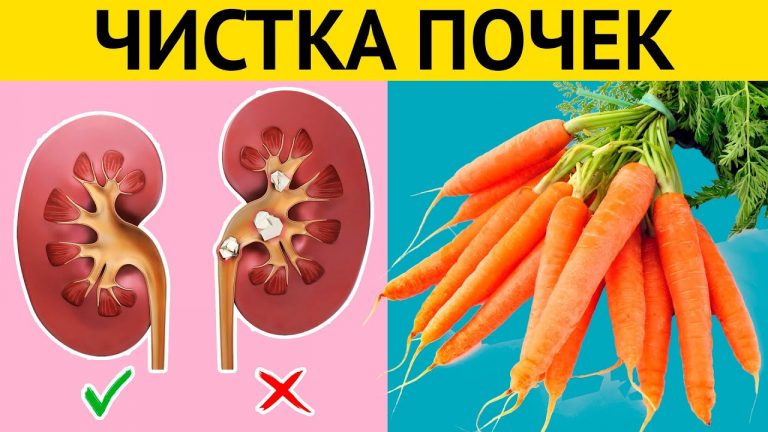 3 рецепта для очищения почек