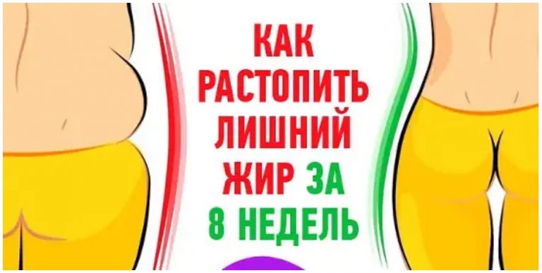 Как растопить лишний жир за 8 недель: стабильный результат без эффекта возврата веса