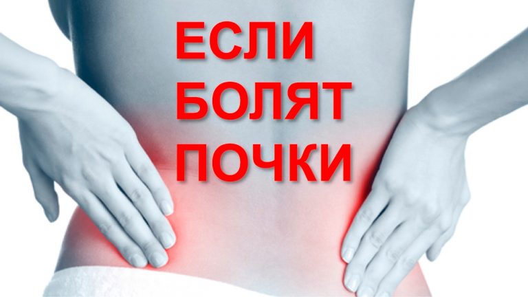 Когда болят почки — жить не хочется