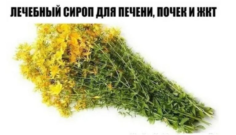 ЛЕЧЕБНЫЙ СИРОП ДЛЯ ПЕЧЕНИ, ПОЧЕК И ЖКТ