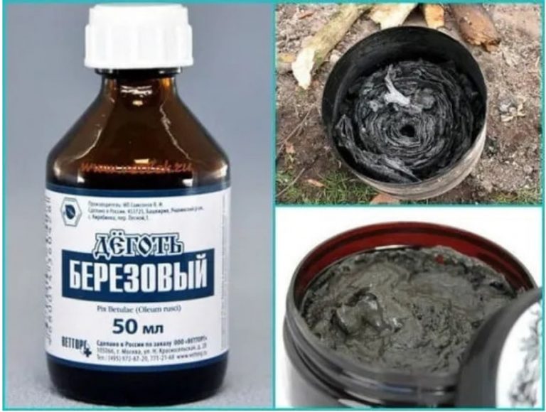 Лекарство наших предков — дёготь