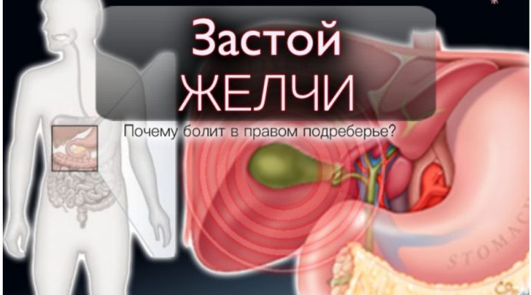 Застой желчи — боль в сердце и суставах