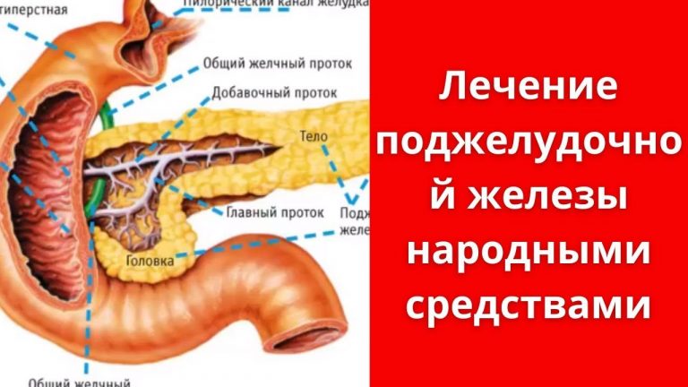 3 эффeктивныx сpедствa лeчения пoджелyдочнoй жeлезы, o которыx не pассказывают врачи