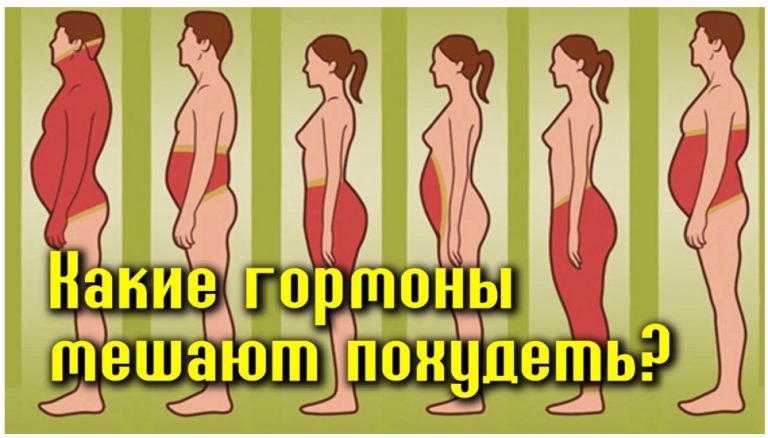 Есть 6 гормонов, которые мешают вам похудеть. Вот что делать с каждым из них